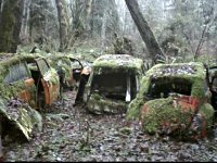 Decay