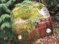 Decay