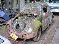 Decay
