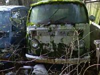 Decay