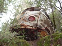 Decay