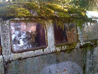 Decay