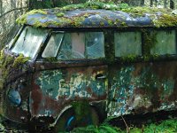 Decay