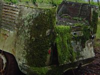 Decay