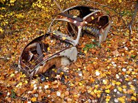 Decay