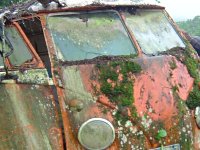 Decay