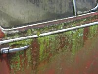 Decay