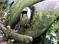 Decay
