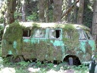 Decay