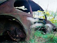 Decay