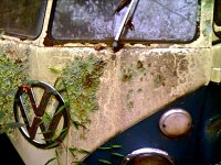 Decay