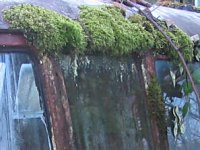 Decay