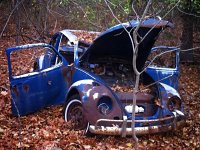 Decay