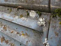 Decay
