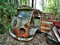 Decay