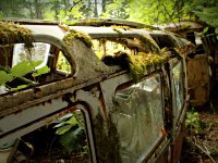 Decay