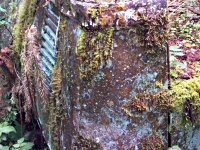 Decay