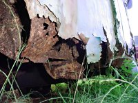 Decay