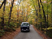 Fall