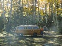 Fall