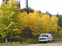 Fall