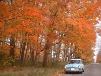 Fall