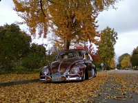 Fall