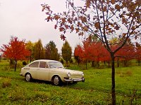 Fall