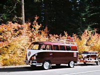 Fall