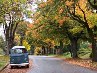 Fall