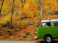 Fall