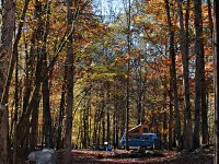 Fall