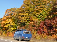 Fall