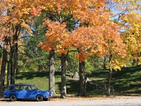 Fall