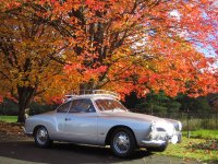 Fall