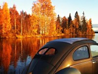 Fall