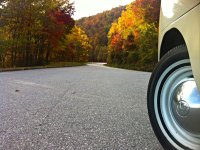 Fall
