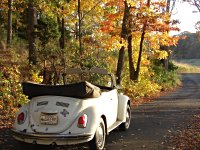 Fall