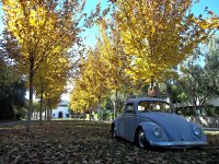 Fall