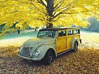 Fall