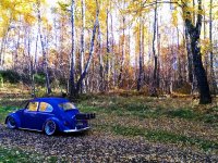 Fall