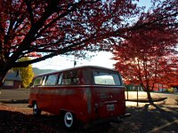 Fall