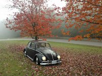 Fall