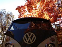 Fall
