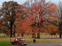 Fall