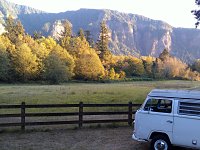 Fall