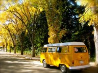 Fall