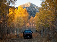 Fall