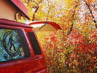 Fall
