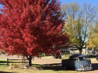 Fall